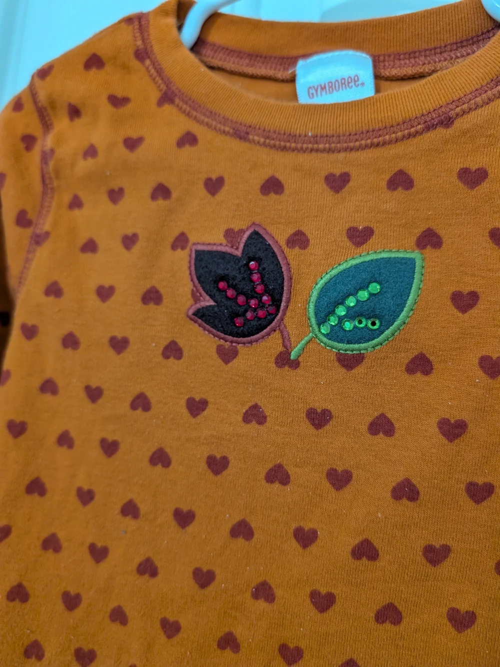 Vintage 2006 Gymboree Harvest Leaves 2pc Velour Pants Top Set Girls 4